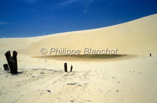 bresil maranhao 08.JPG - Mangrove asséchéeLagonDunes de sableVassourasPetites LencoisNordesteMaranhaoBrésil